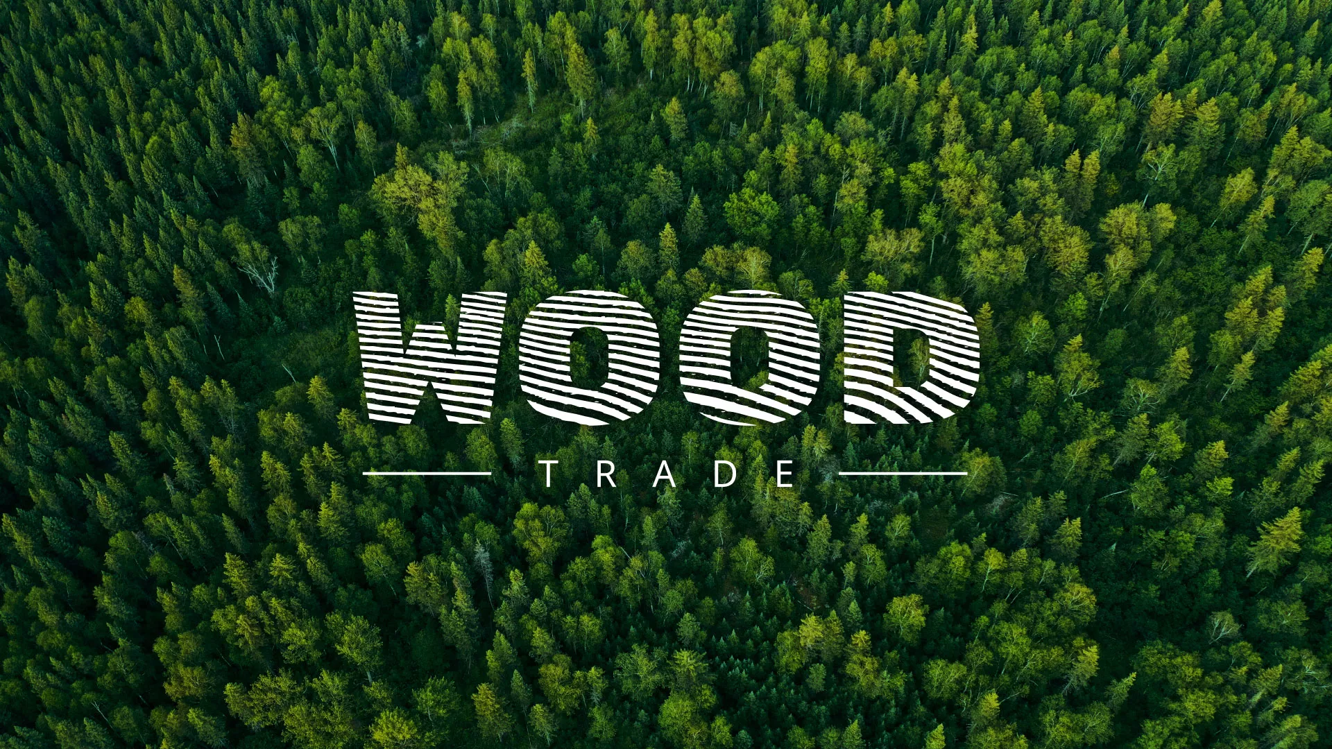 Разработка интернет-магазина компании «Wood Trade» в Спасске-Дальнем