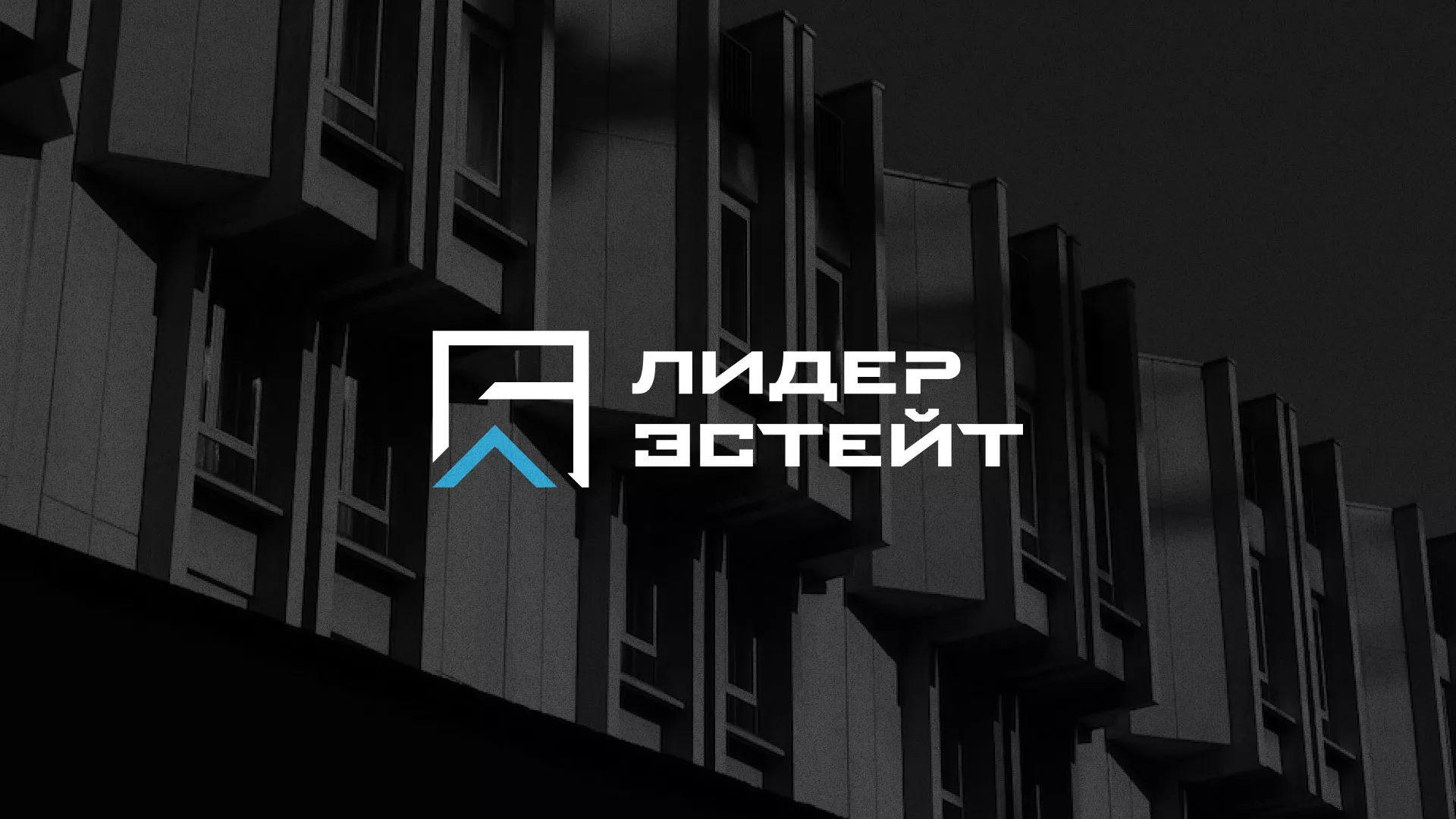 Разработка логотипа агентства недвижимости «Лидер Эстейт» в Спасске-Дальнем